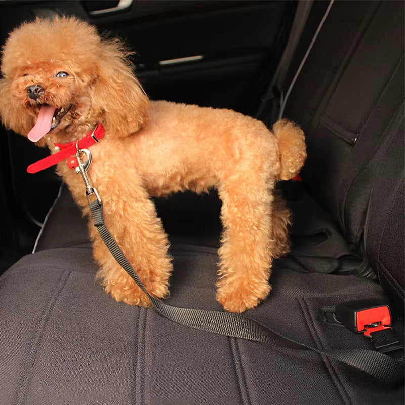 Pet Car Safety Belt