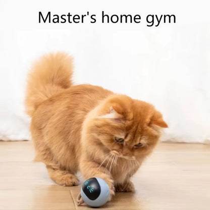 Smart Cat Toy