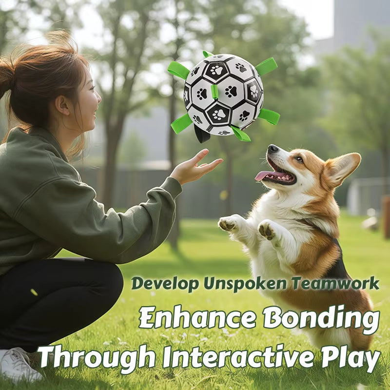 Dog Soccer Ball