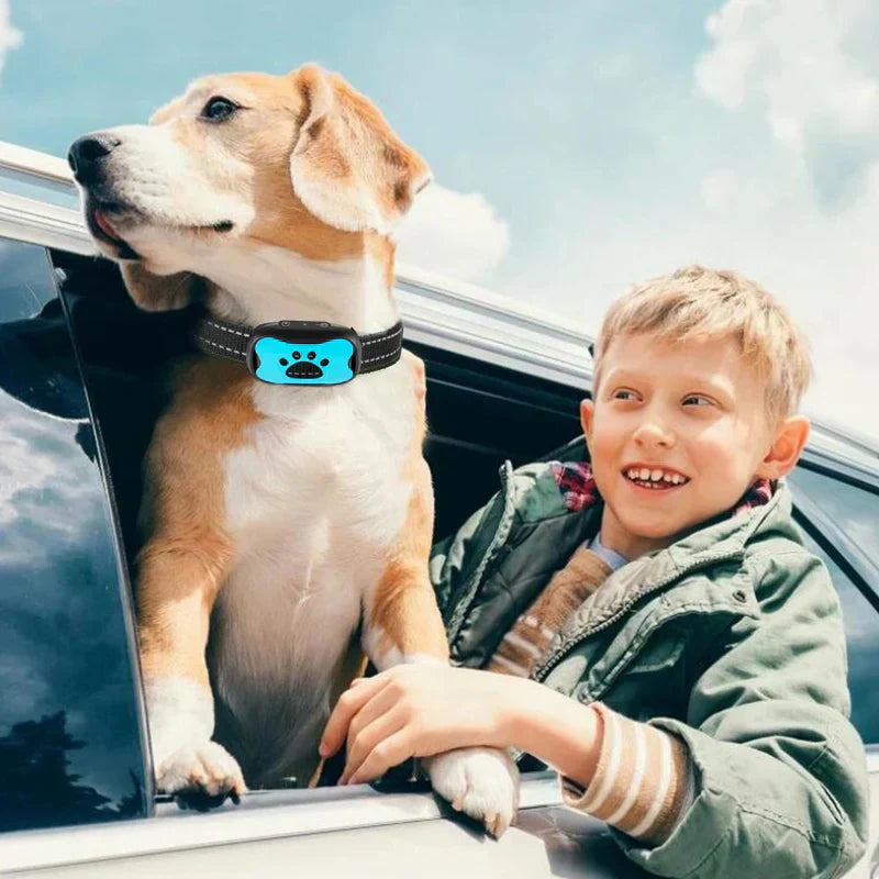 Anti Bark Dog Collar