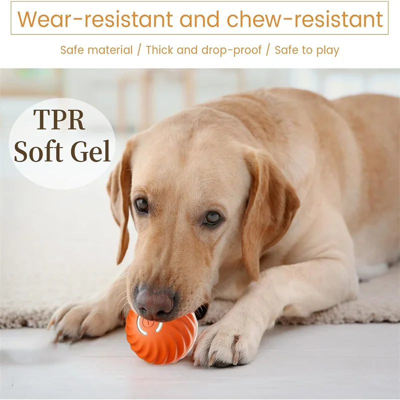 Smart Interactive Pet Ball 