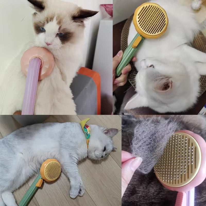 Pumpkin Pet Brush