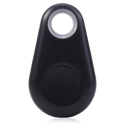 Pet Smart GPS Tracker
