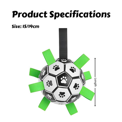 Dog Soccer Ball