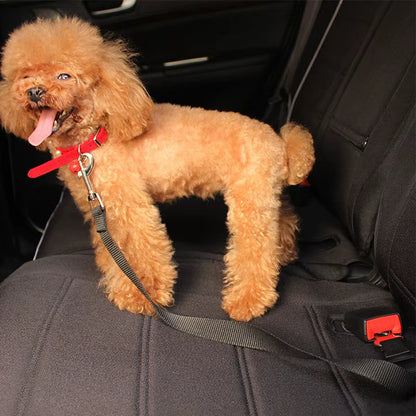 Pet Car Safety Belt