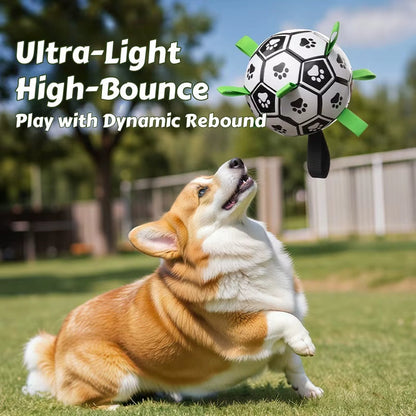 Dog Soccer Ball