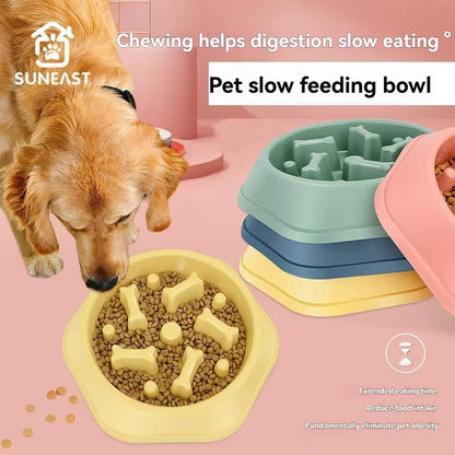 Pet Slow Feeder Bowl